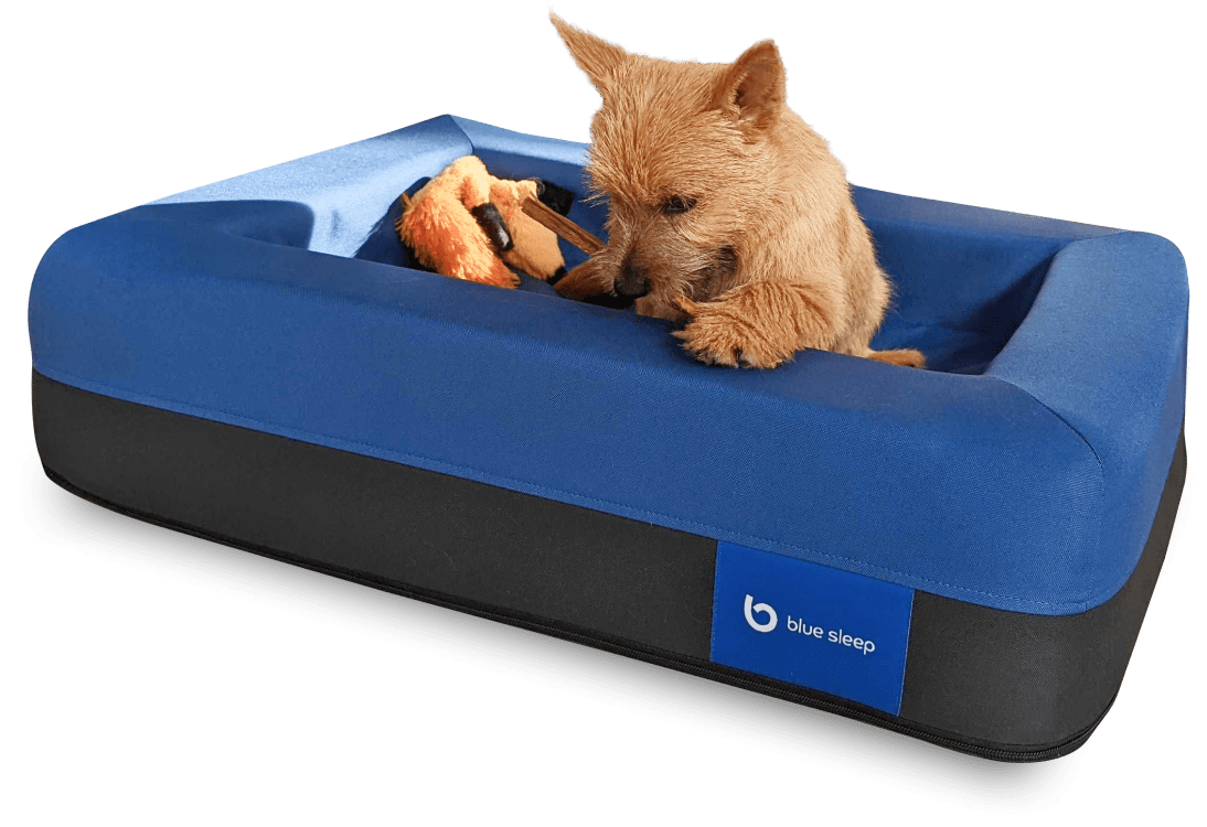 матрас для животных blue sleep dog bed